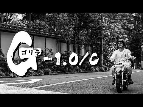 ゴリラ-1.0/C