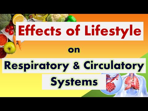 The Effects of Lifestyle Choices on Respiratory & Circulatory Systems I FULL VIDEO