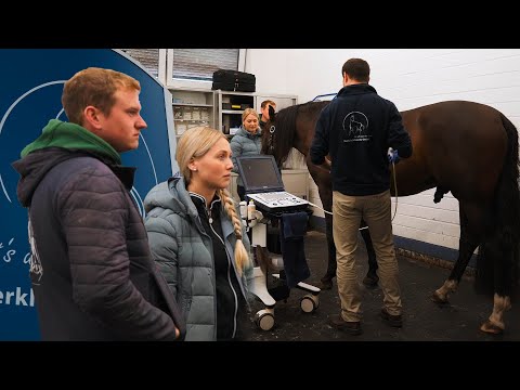 Wir MÜSSEN in die TIERKLINIK