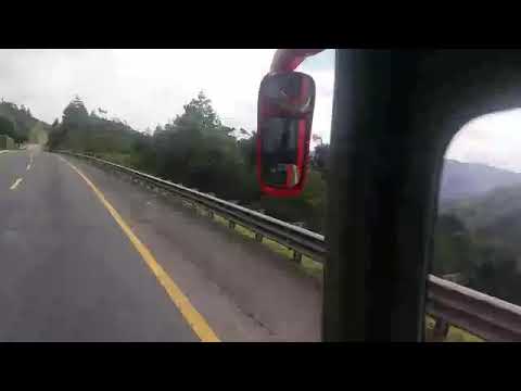 llore por ti & luciernaga SOCIEDAD PRIVADA