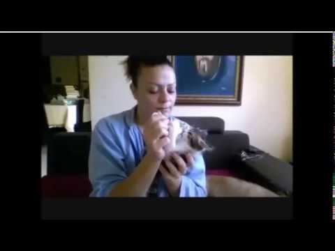 Lady Ava  - Untill The Stars Fall