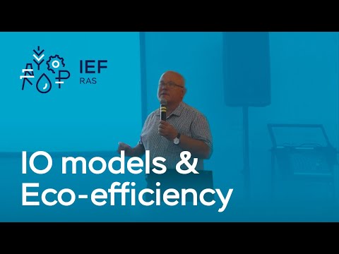 ♻ Measuring eco-efficiency in generalized IO models: multidimensional approach