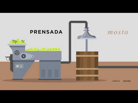 Como se elabora um vinho branco - Desvendando o Universo dos Vinhos #4