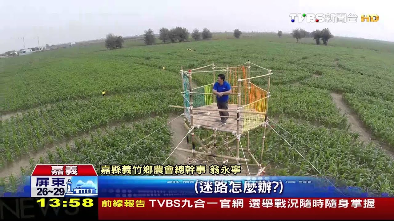 全國最大玉米迷宮 得耗2小時歡迎挑戰!