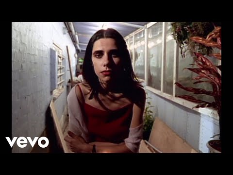 John Parish, PJ Harvey - Is That All There Is?