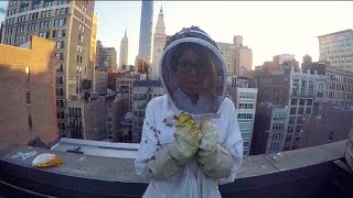 Beekeeping – Day 88