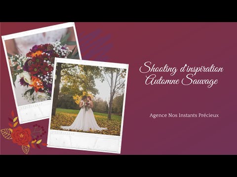 Vidéo du Wedding Planner Nos Instants Précieux