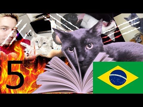 O Diário de Sylvester (Dublado) - Ep5 - Voe para longe