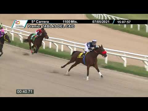 210507 c05 - LINDA EFFECT (BRZ) - HIPODROMO LAS PIEDRAS