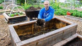 How to Fill a DEEP Raised Bed CHEAP and EASY, Backyard Gardening