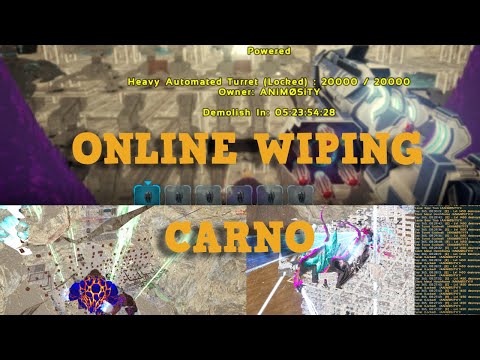 ONLINE WIPING Carno | Child Labor | BBX FiberCraft