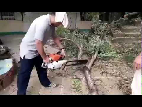 Chainsaw Demonstration Non Pro