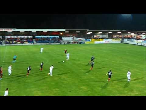 Amateurscout, sensationelle Parade von Paul Mayerhofer Mannsdorf