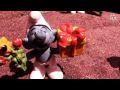 Toys The Smurfs Childhood Memories