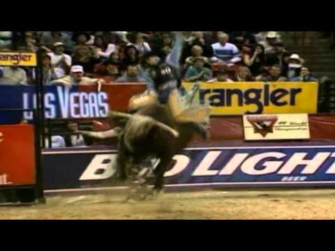 PBR THE BEST BULLS III
