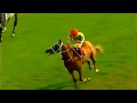 (G1) 1995 MALAZGİRT KOŞUSU | YAVUZHAN