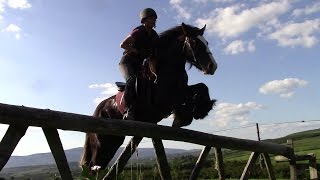 Wie wir unserm Tinkerpferd (Irish Cob) das Springen über Hindernisse beibringen