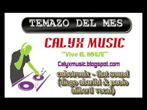 cubetronix - that sound ( diego abaribi & paolo aliberti voc