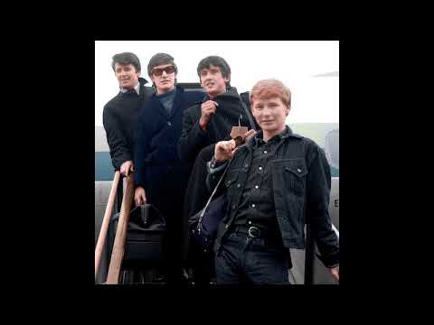 Goodbye my love  -  The Searchers