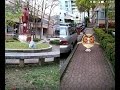 【pokemon go】捕獲稀有的盔甲鳥與用兩隻可愛的咕咕 精靈寶可夢go