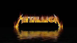 Metallica - Wasting my Hate