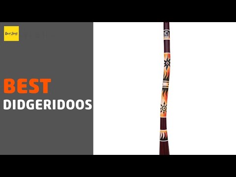 🌵4 Best Didgeridoos 2020