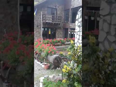 Cabana Daria (walkouround)