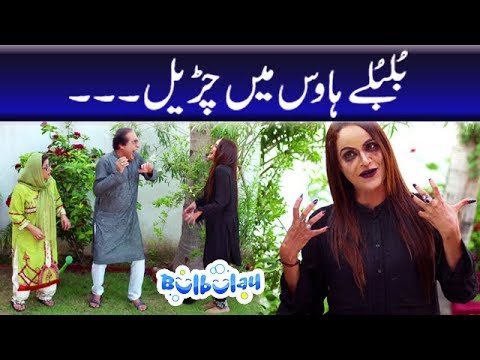 Bulbulay Season 2 Episode 19 | Ayesha Omar | Nabeel