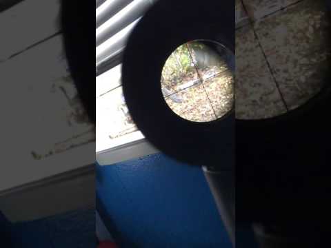 Umarex Octane . 177 air rifle