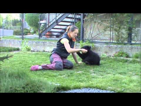 Ivan z Jukasu - first steps :-)