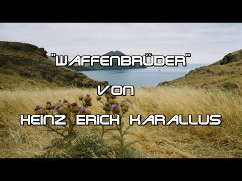 Waffenbrüder (Cover von "Brothers In Arms" von Dire Straits)