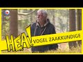 HEA! Vogel zaakkundige