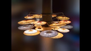 SAA Annual Scientific Meeting & Reunion