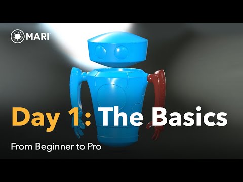 From Beginner to Pro in Mari | Day 1: The Basics