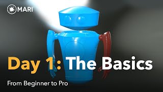From Beginner to Pro in Mari | Day 1: The Basics