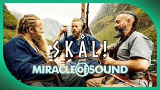 Kadr z teledysku Skål tekst piosenki Miracle of Sound