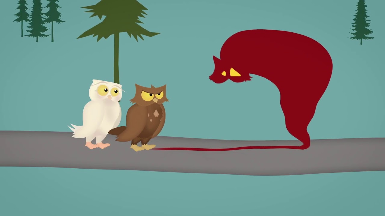 Pablo Fuentes Vicente-9