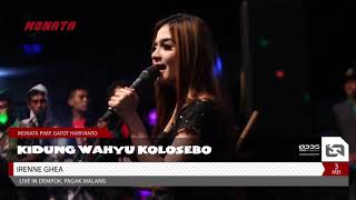 Download lagu MONATA - BULE JOWO IRENNE GHEA - KIDUNG WAHYU KOLOSEBO - LIVE MALANG mp3 Download lagu MONATA - BULE JOWO IRENNE GHEA - KIDUNG WAHYU KOLOSEBO - LIVE MALANG mp3