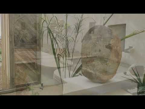 Ecohotel El Agua   A place for holistic health