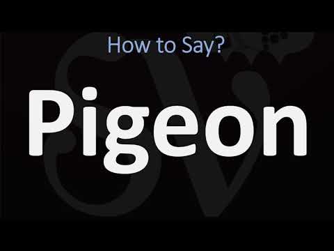 How to Pronounce Pigeon? (CORRECTLY)