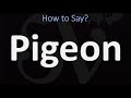 How to Pronounce Pigeon? (CORRECTLY)