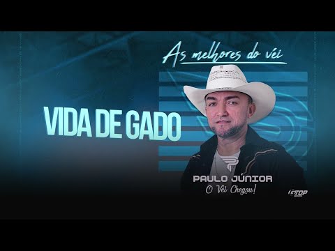 Vida de Gado - Paulo Junior (O Véi Chegou)