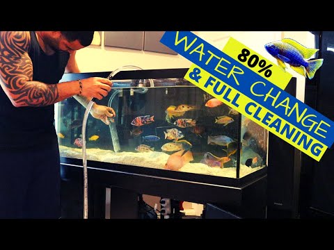 Aquarium Water Change - Sand Vac and Full Tank Cleaning (80% Water Change)