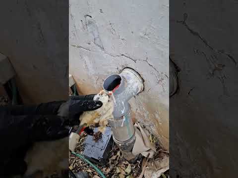 תמונה של שטיינברג פתרונות אינסטלציה