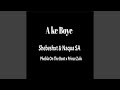 Ake Boye Feat Shebeshxt Phobla On Th Beat Prince Zulu
