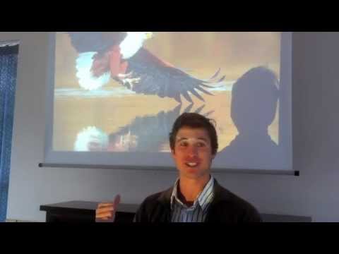 Dale Wright BirdlifeSA - Sedgefield 2012