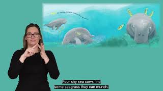 One Remarkable Reef - Auslan gameplay video by lstan57, 6:00 duration