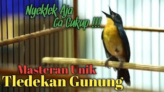 Download lagu MASTERAN UNIK KHUSUS TLEDEKAN GUNUNG DAN SULINGAN LAINNYA mp3