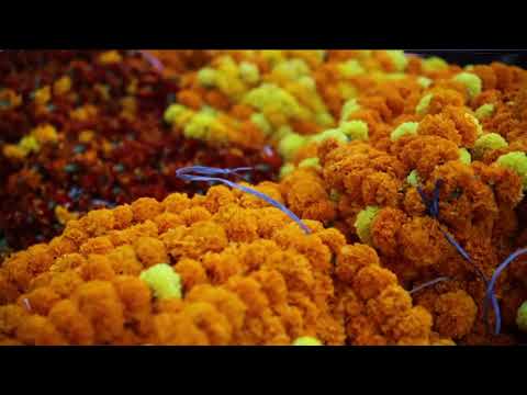 Discovery India : Ganga expedition (Episode 3)