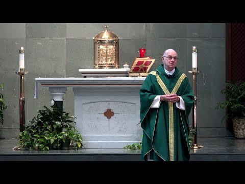 20180805 Father Tony Taschetta Homily “The way to the promised land is always through the desert.“